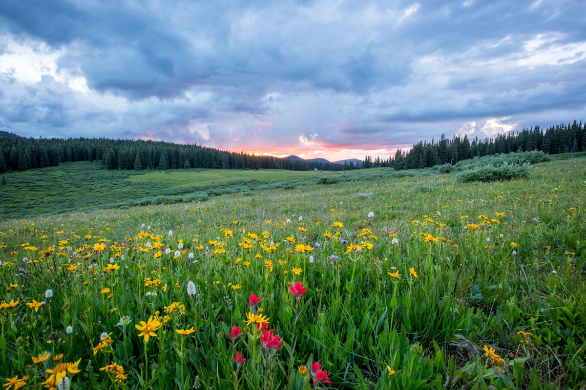 Smettere di fumare in primavera: perché la stagione aiuta